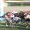 【競馬/高松宮記念】枠順確定！3枠6番レッドファルクス、前年覇者セイウンコウセイ1枠1番