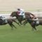【競馬】3着アーバンキッド福永「外枠だったので内に入れられなかった。」