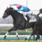 【競馬】ルメール鞭落として素手で入れる