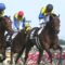 【競馬】武豊「マカヒキ、サトダイ世代はレベルが高過ぎる。エアスピネルは時代が悪かった」