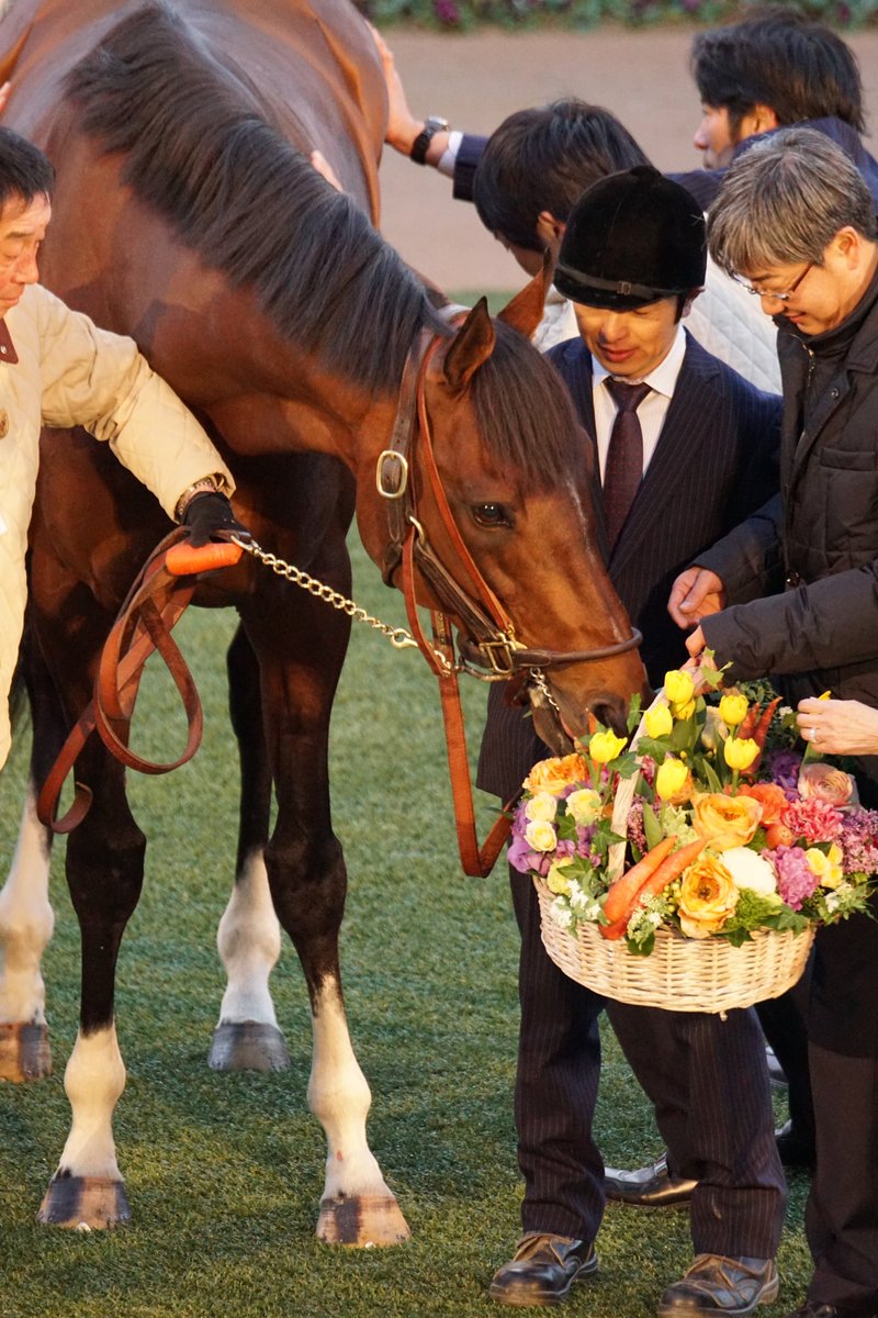 【競馬】引退式で花を食べてしまうモーリスが可愛すぎる件ｗ
