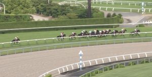 【競馬/京都新聞杯】ブエナビスタ半弟・エルプシャフト横山ポッツーーーーーーーン