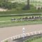 【競馬/京都新聞杯】ブエナビスタ半弟・エルプシャフト横山ポッツーーーーーーーン