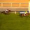 【競馬】それでは凱旋門賞に参戦予定の強豪馬の戦績をご覧ください