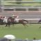 【競馬】幻のダービー馬ヴァナヘイムが帰ってくるぞ！！！