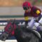 【競馬】プリンス・オブ・ウェールズ終了後に立ちそうなスレ