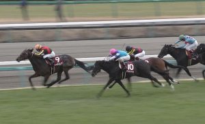 【海外競馬】アンビシャス、豪デビュー戦９着