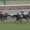【競馬/ジャパンC】キタサンブラックが永久に名馬と呼ばれない理由
