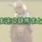 【競馬板】supremeをスーパーミーとか読んでた奴www