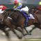 【競馬】クラシック三冠馬はもう二度と現れないのか？？？