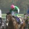 【競馬】海外ブックメーカーの日本ダービーのオッズが突っ込み所満載