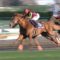 【競馬】オルフェーヴル産駒、門別でも16馬身差殿負け