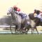 【競馬】2010ダービーから2012ダービーという空白の時代