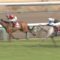【競馬】日本ダービーがマイネルハニーが大穴あける