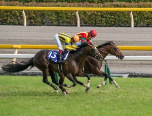【競馬】ヴァンセンヌという馬を覚えているか