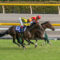 【競馬】ヴァンセンヌさん、ディープxオンファイアというとんでもないクロス馬を生み出す