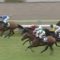 【競馬】【戸詐欺】結局戸崎も馬質だけな件