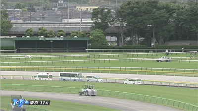 【競馬】白毛にブチ模様で人気のブチコ、2戦続けて競走除外　ゲートを越えて放馬しラチにぶつかり流血…6/4東京11R