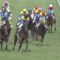 【競馬/ダービー】エアスピネル武豊「生まれた世代が悪かった」