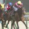 【競馬】今年のクラシックをまだ出てない馬で秋競馬を賑わしそうな３歳馬は？