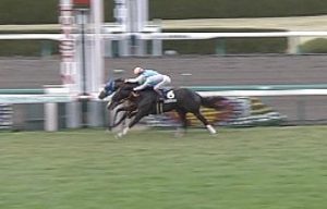 【競馬】アドマイヤダイオウ　ダービー目標なので皐月未定→やっぱ出ます→体調不良なのでダービー回避します