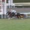 【競馬】アドマイヤダイオウ　ダービー目標なので皐月未定→やっぱ出ます→体調不良なのでダービー回避します