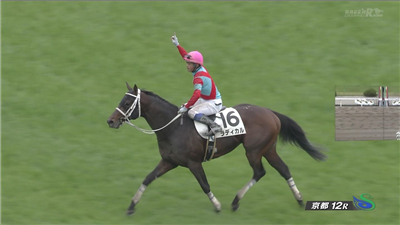 【競馬】[画像] ドゥラメンテにメガネをぶっ飛ばされる堀調教より面白い画像を貼ったやつが神