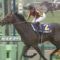 【競馬】ドゥラメンテ産駒初日全馬惨敗